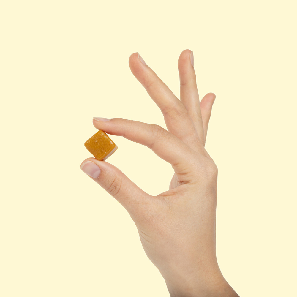 hand holding wonderbee chew