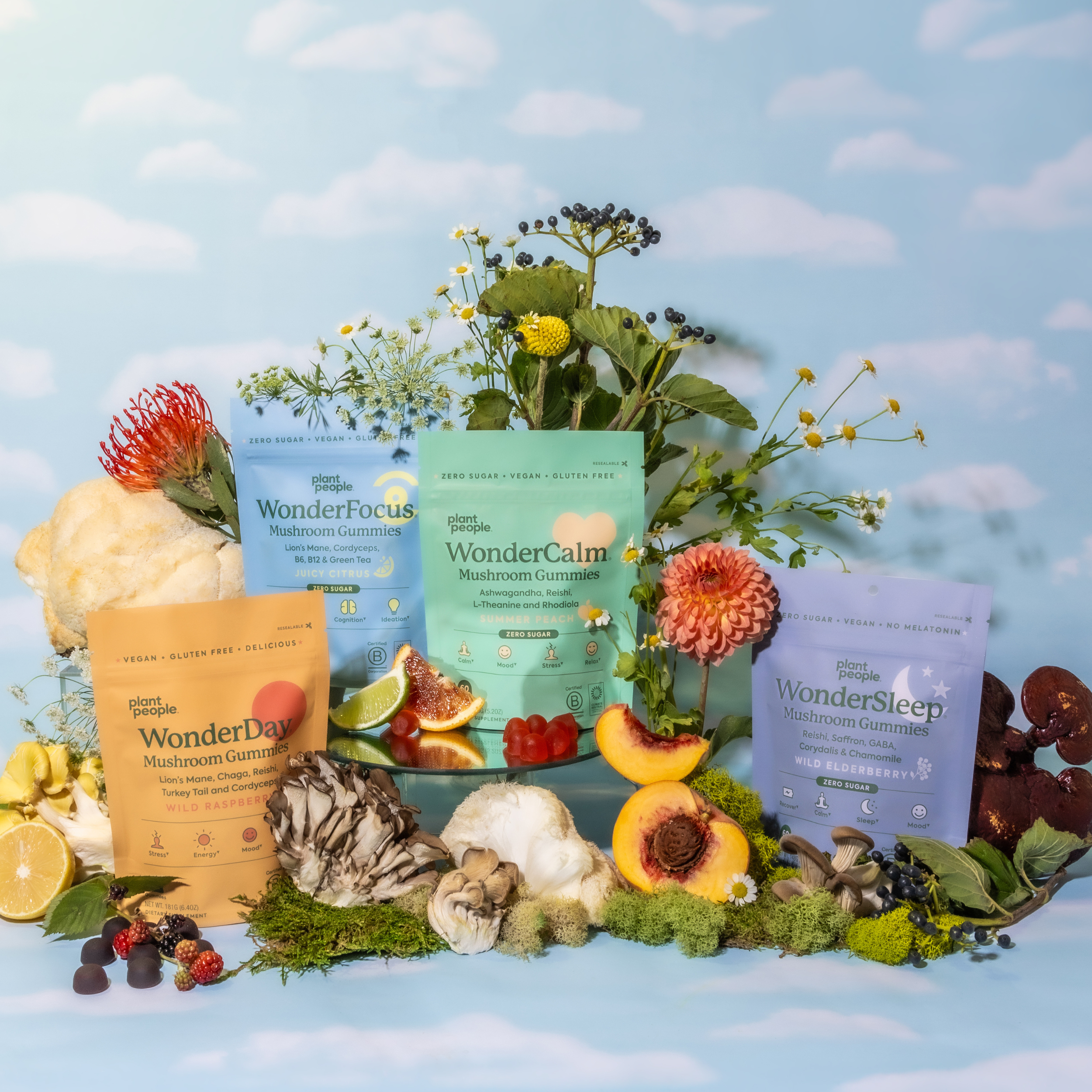 Wonder Variety Bundle-Plant People