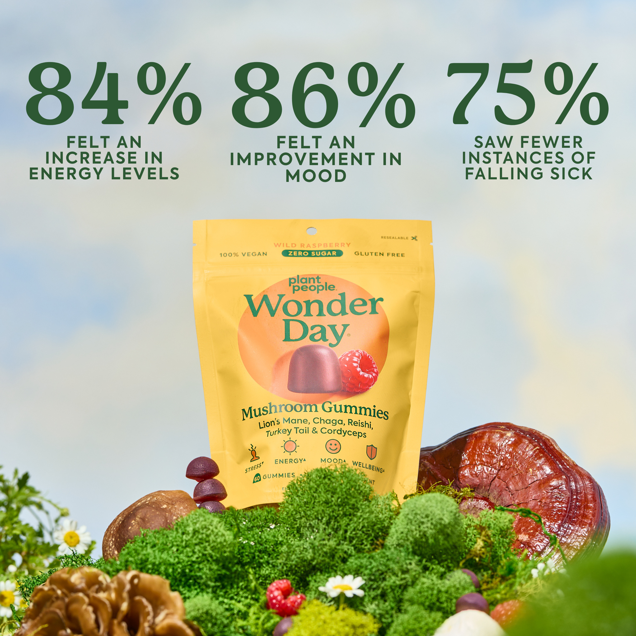 Standard Strength, Double Strength, Plant People Wonder Day Mushroom Gummies package with health benefits text and natural elements in the background. Text is 84% felt an increase in energy. 86% felt an improvement in mood. 75% saw fewer instances of falling sick