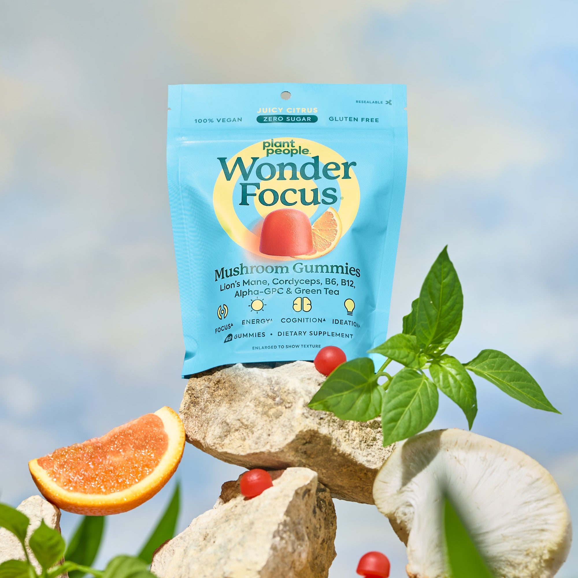 Package of Wonder Focus gummies on a natural background with plants and stones.