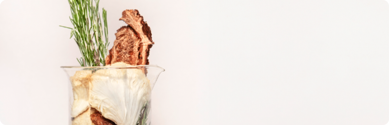 beaker full of functional mushrooms and herbs