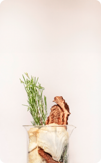 beaker full of functional mushrooms and herbs