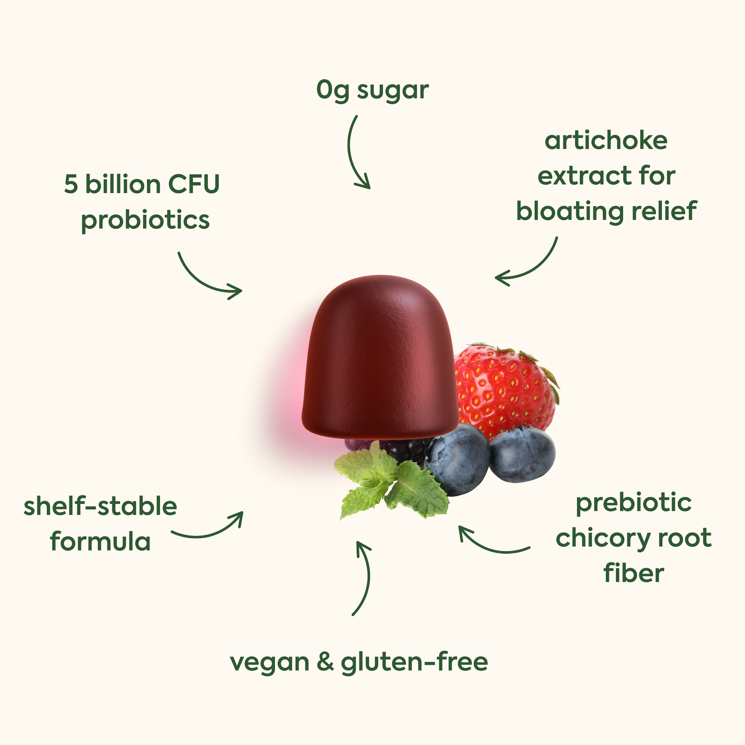 0g sugar
5 billion CFU probiotics
artichoke extract for bloating relief
shelf-stable formula
prebiotic chicory root fiber
vegan & gluten-free
The image shows dark red/burgundy gummy supplement alongside fresh berries (strawberry and blueberries) with arrows pointing to different nutritional and ingredient highlights arranged around the products.