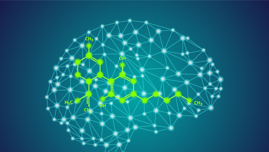 What Is the Endocannabinoid System?-Plant People