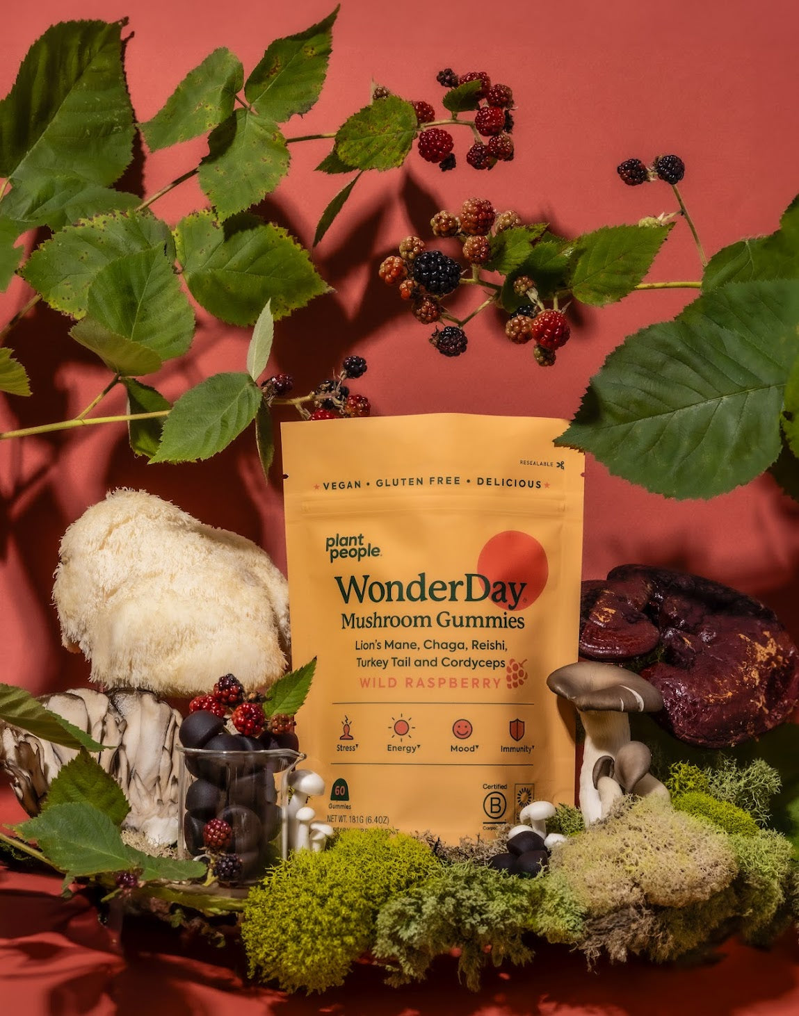 A Month With WonderDay: Tracking Your Mushroom Journey
