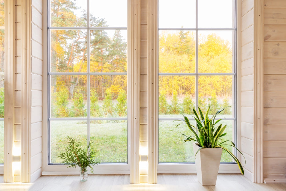 Cleanse Your Life: A Guide to Living Cleaner-Plant People
