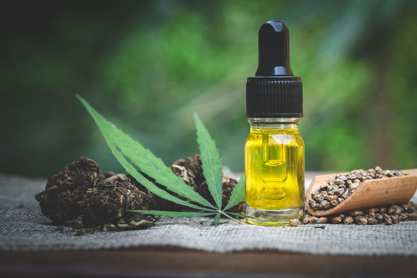 Is Hemp Oil Good For You?