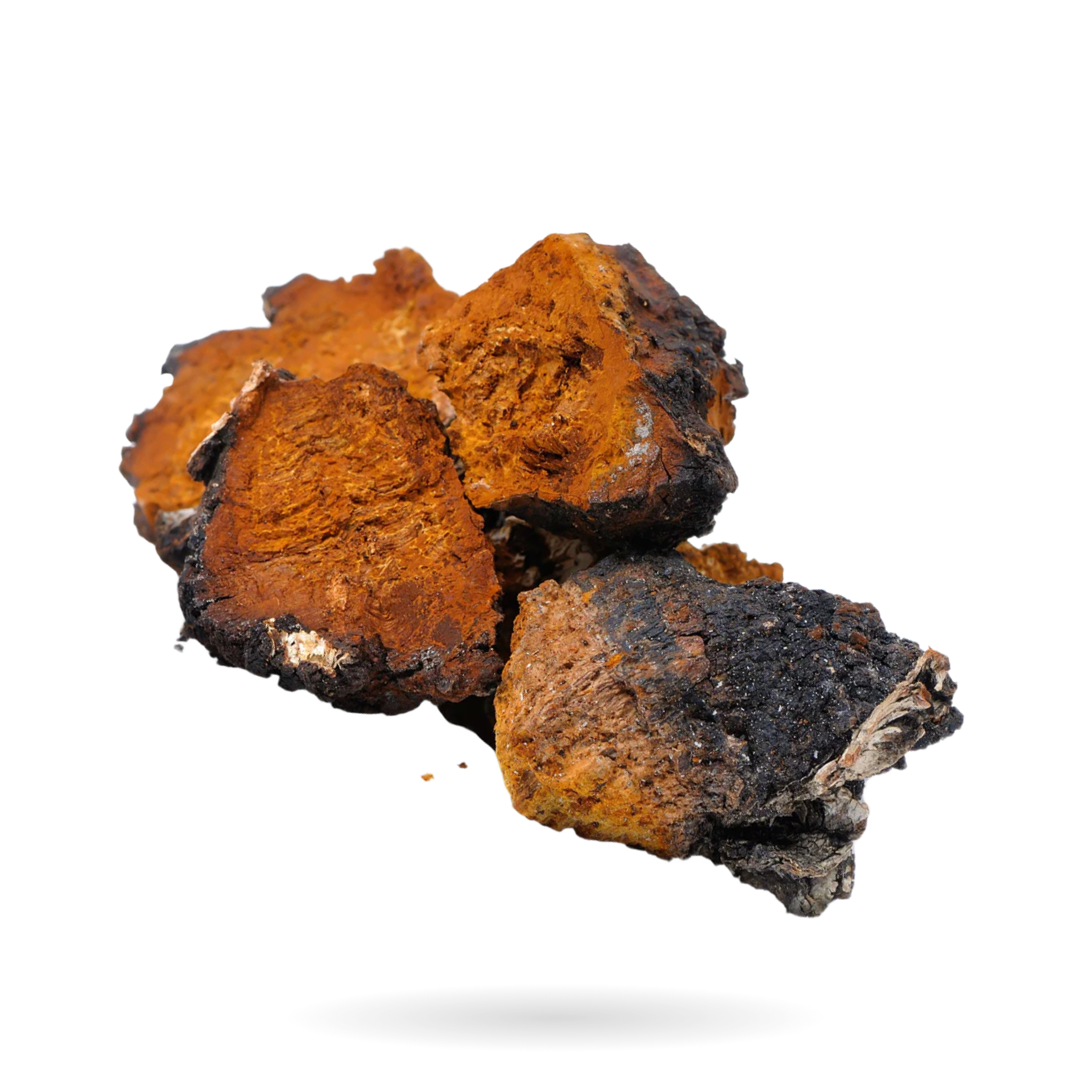 CHAGA
