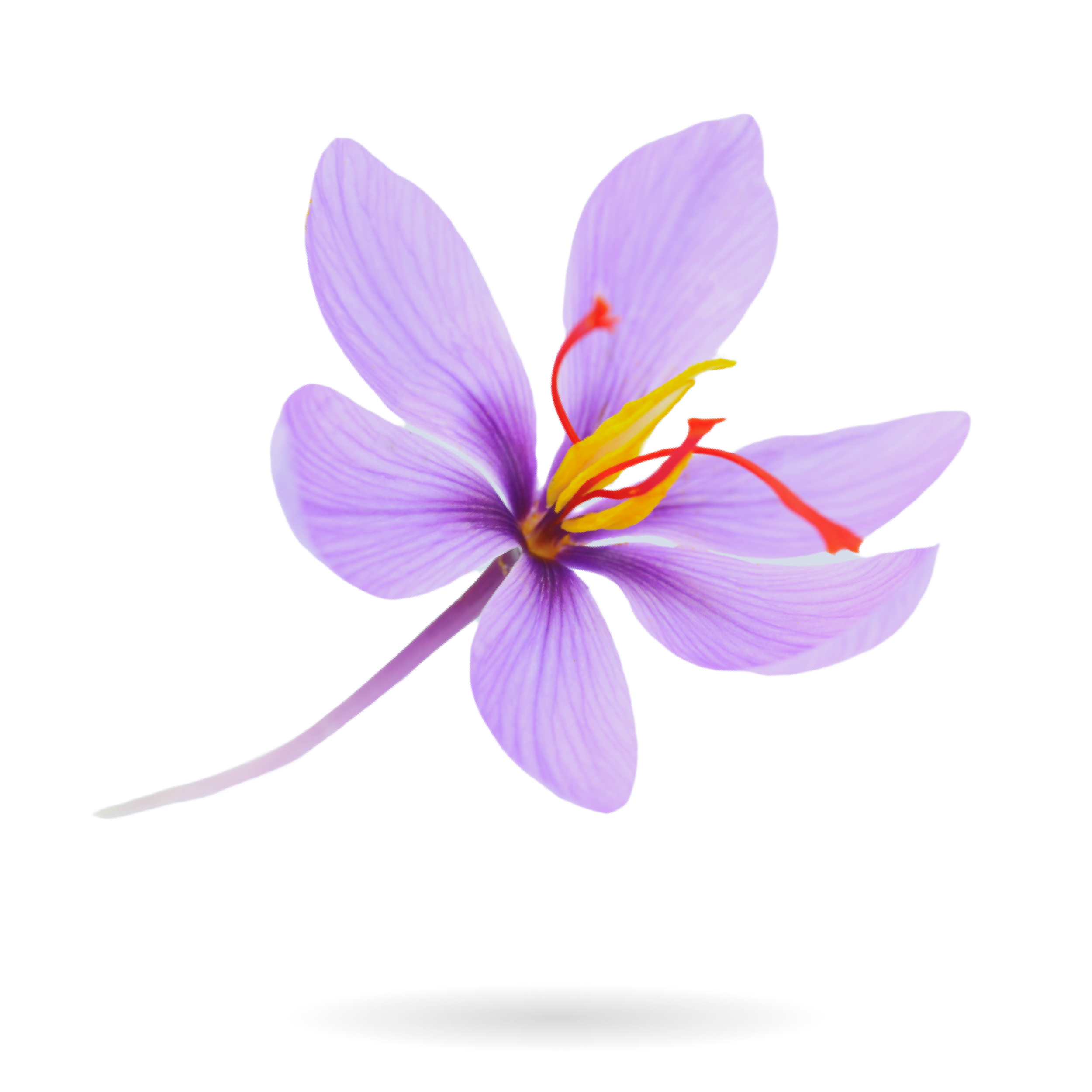 SAFFRON
