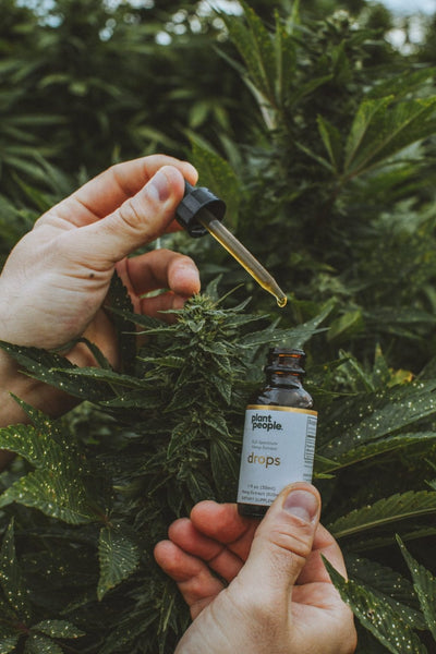 CBD 101: Is Cannabidiol (CBD) Psychoactive?