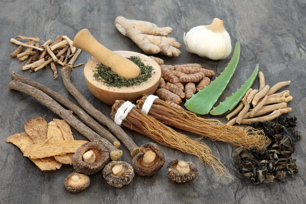Adaptogen food selection with herbs and spices