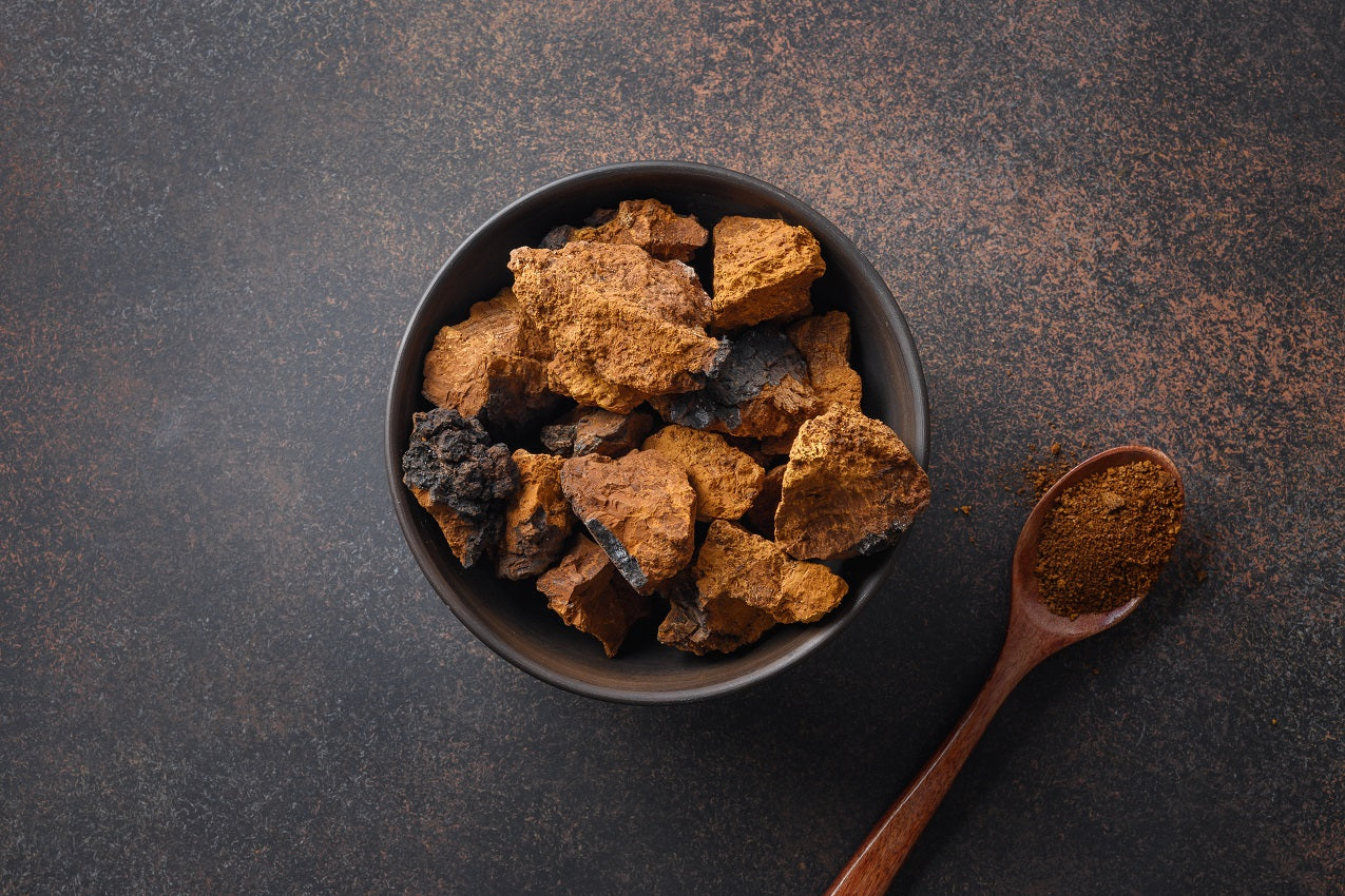 Chaga Mushrooms in a bowl on the table