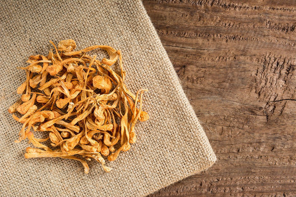 Mind & Body Cordyceps Mushroom Benefits