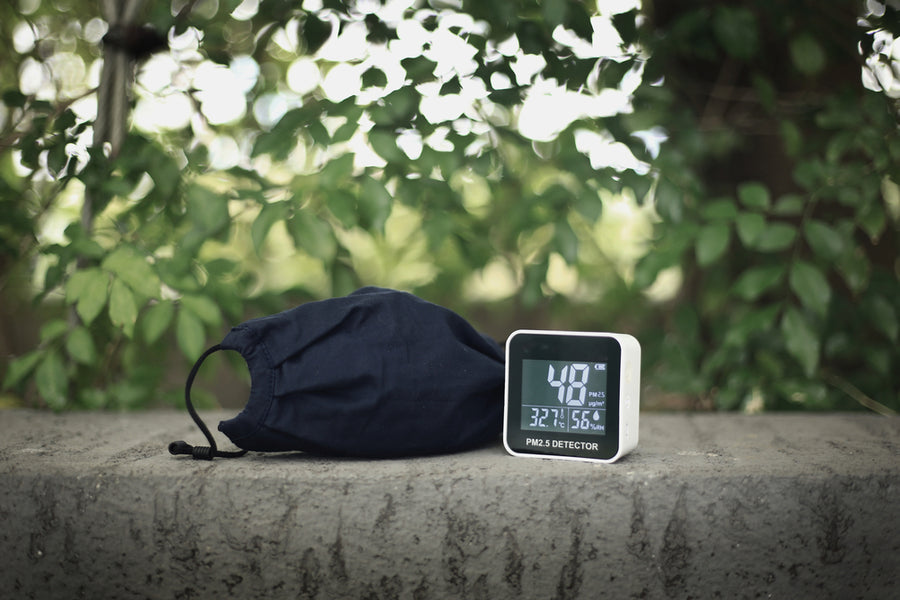 Poor Air Quality Symptoms Plant People