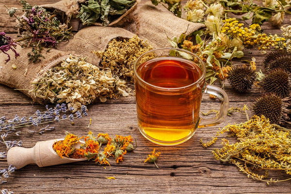 The 7 Most Effective Lung Cleansing Herbs