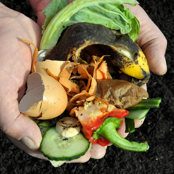 Zero Waste Food Systems