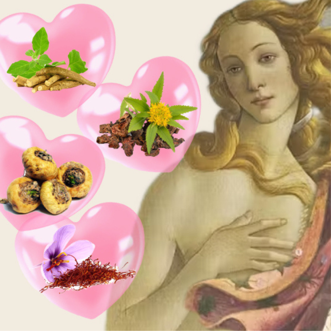 Functional and Psychedelic Mushrooms for Sexual Wellness and Love-Plant People