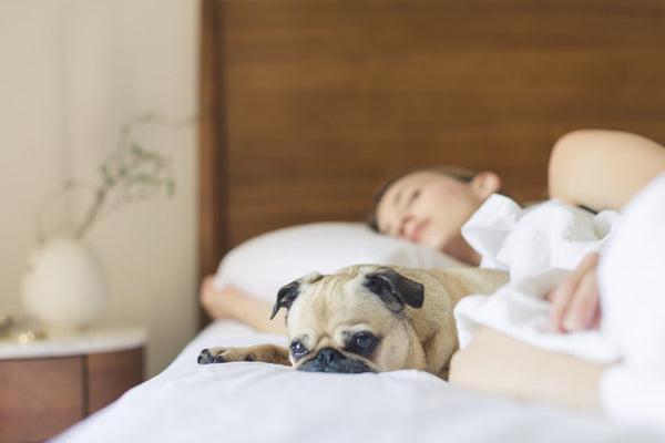 5 Tips for a Good Night's Sleep