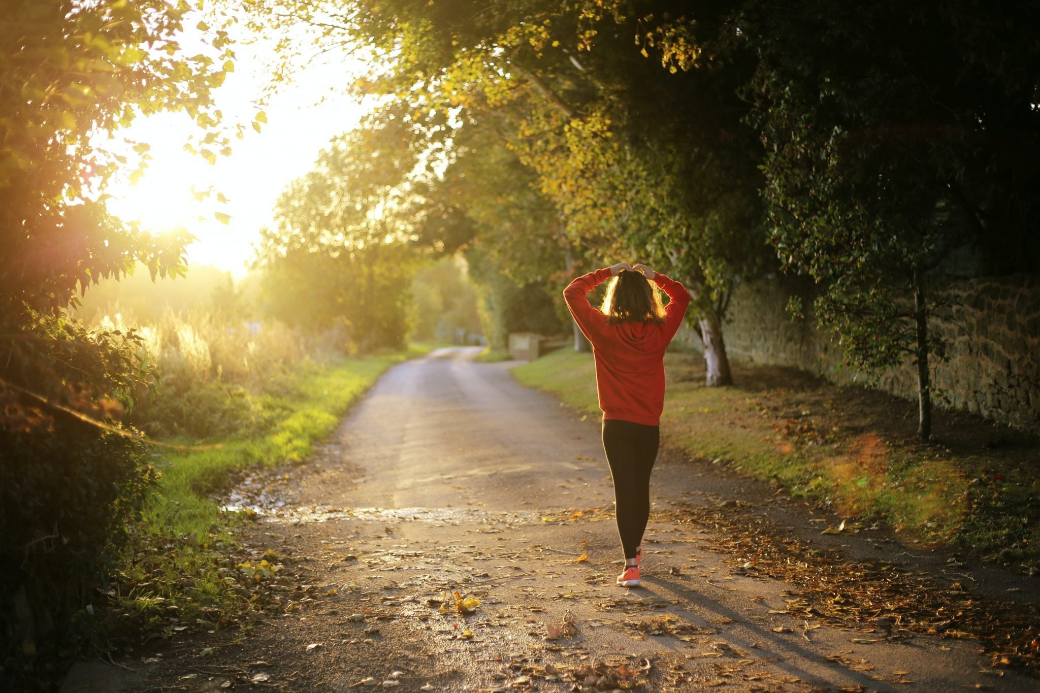 Stress and the Immune System-Plant People