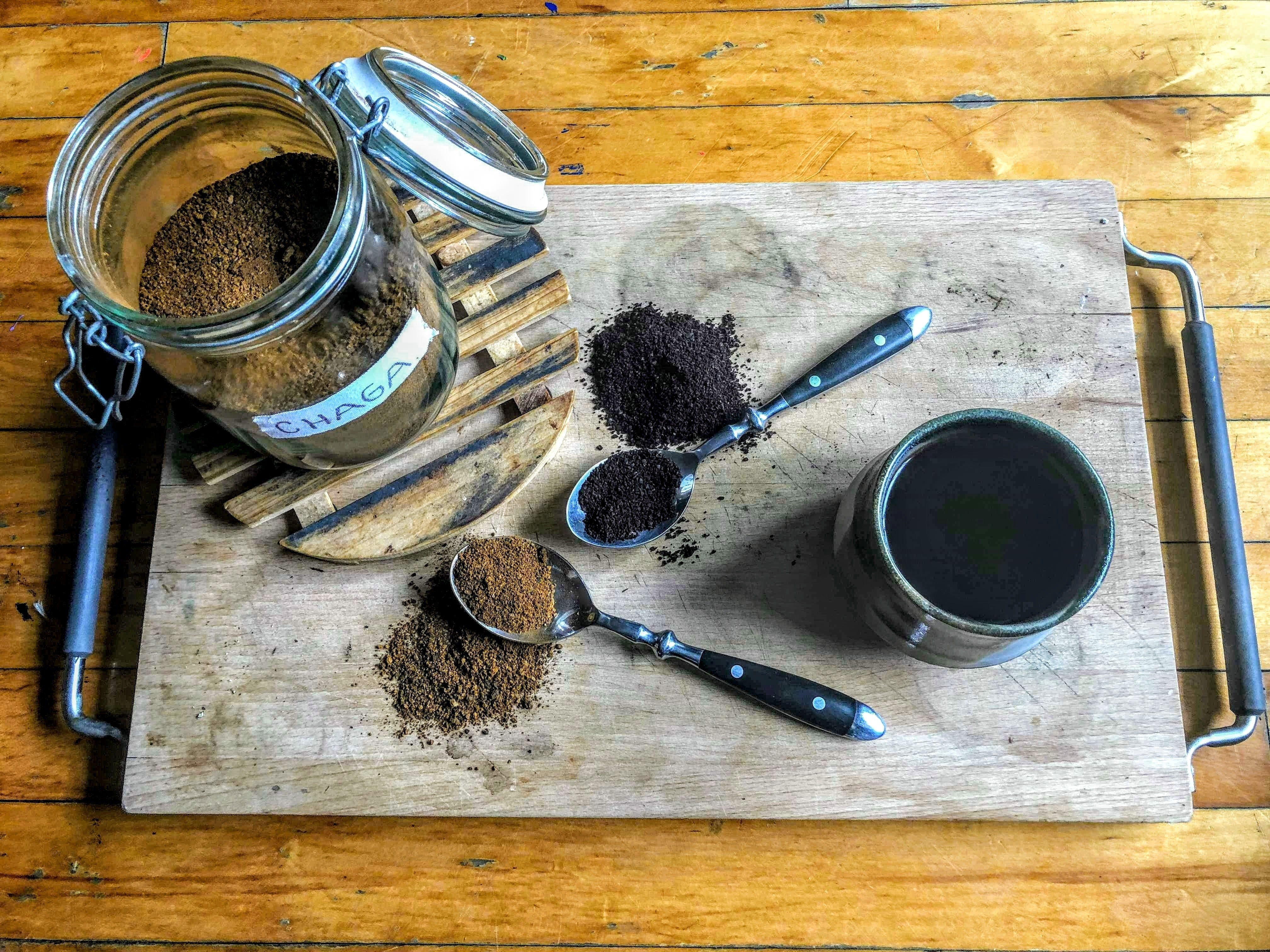Fungi 101: Chaga Mushroom-Plant People