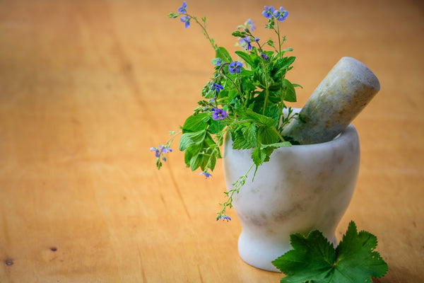 Herbs That Do Wonders for Lung Health