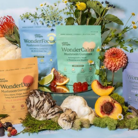 Image of Plant People Bundle containing WonderFocus Mushroom Gummies, SunsUp Mushroom Coffee, and Clear Focus Capsules