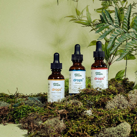 cbd oil tinctures