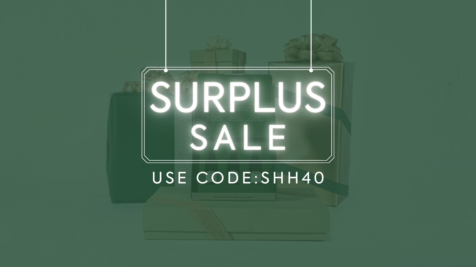 End of Year Surplus Sale: 40% Off