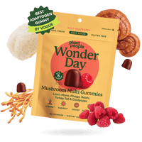 Standard Strength, Double Strength, Packaging of Wonder Day mushroom gummies with mushrooms and raspberries on a white background