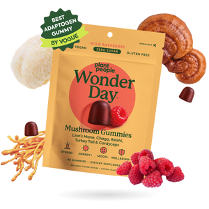 Standard Strength, Double Strength, Packaging of Wonder Day mushroom gummies with mushrooms and raspberries on a white background