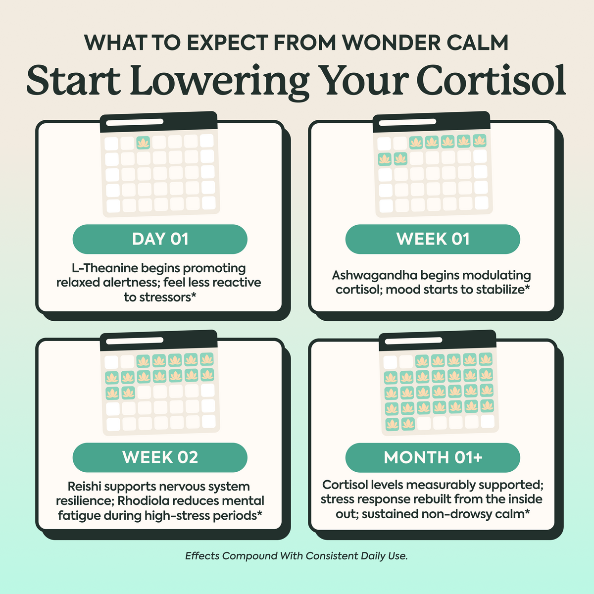 An infographic titled 'WHAT TO EXPECT FROM WONDER CALM Start Lowering Your Cortisol' with four labeled panels for Day 1, Week 01, Week 02, and Month 1+, showing small calendar grids and explanatory text about compound daily use and cortisol support.