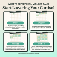 An infographic titled 'WHAT TO EXPECT FROM WONDER CALM Start Lowering Your Cortisol' with four labeled panels for Day 1, Week 01, Week 02, and Month 1+, showing small calendar grids and explanatory text about compound daily use and cortisol support.
