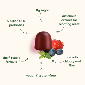 0g sugar
5 billion CFU probiotics
artichoke extract for bloating relief
shelf-stable formula
prebiotic chicory root fiber
vegan & gluten-free
The image shows dark red/burgundy gummy supplement alongside fresh berries (strawberry and blueberries) with arrows pointing to different nutritional and ingredient highlights arranged around the products.