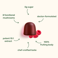 Standard Strength, Double Strength,
0g sugar (pointing down to the product)
8 functional mushrooms (pointing right to the product)
doctor-formulated (pointing left to the product)
potent 10:1 extract (pointing up-right to the product)
chef-crafted taste (pointing up to the product)
100% fruiting body (pointing up-left to the product)
The image shows what appears to be a dark red/burgundy colored gummy or supplement alongside some fresh raspberries.