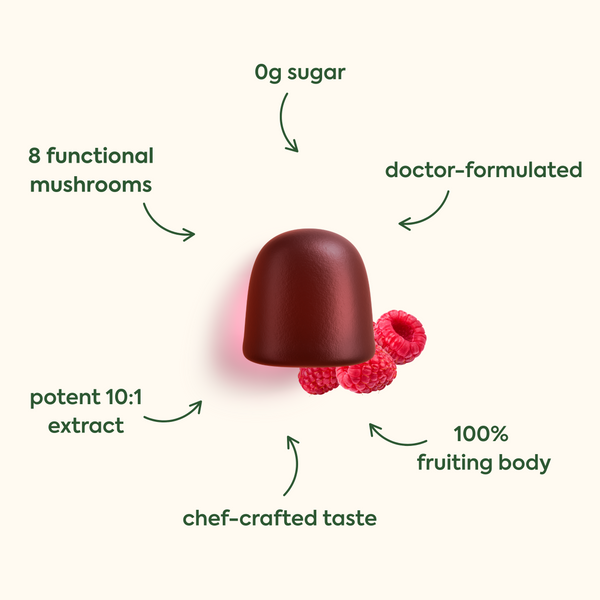 Standard Strength, Double Strength,
0g sugar (pointing down to the product)
8 functional mushrooms (pointing right to the product)
doctor-formulated (pointing left to the product)
potent 10:1 extract (pointing up-right to the product)
chef-crafted taste (pointing up to the product)
100% fruiting body (pointing up-left to the product)
The image shows what appears to be a dark red/burgundy colored gummy or supplement alongside some fresh raspberries.