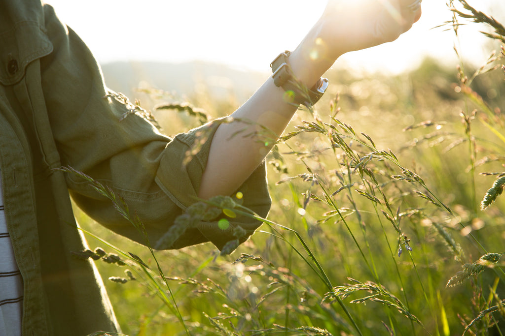 Regenerative Agriculture + Responsible Sourcing